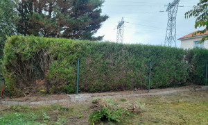 Abattage d'une haie à Saint-Sébastien sur Loire