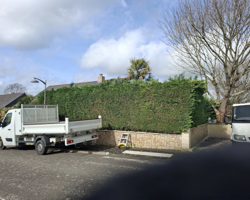Abattage d'une haie à Saint-Sébastien sur Loire
