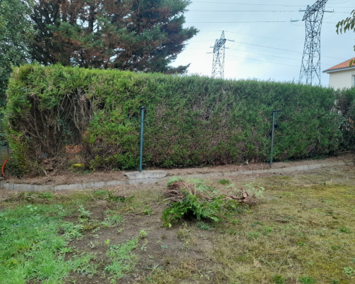 Abattage d'une haie à Saint-Sébastien sur Loire