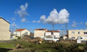 Abattage d'arbre Bouguenais