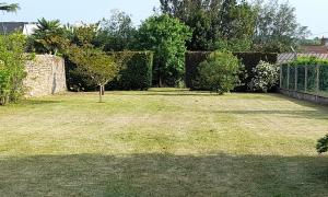 Tonte de pelouse, taille d'une haie, abattage de quelques arbres fruitiers à Coueron