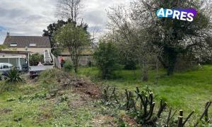 Abbattage d'une haie à St Jean de Boiseau