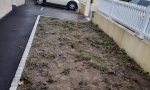Plantations de plusieurs palmiers et arbustes, mise en place de terreau et paillage à Carquefou - AVANT