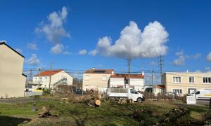 Abattage d'un sapin de 13/14 mètres à Bouguenais - avant