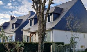 Elagage arbre à Saint-herblain - après