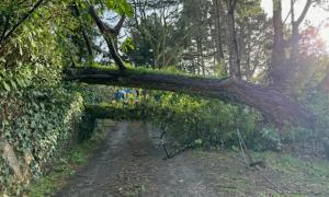 Intervention en urgence après une tempete en Loire-Atlantique