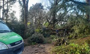 Intervention en urgence après une tempete en Loire-Atlantique