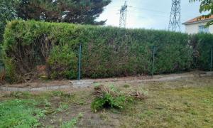 Abattage et enlevement des souches d'une haie à Saint-Sébastien sur loire 