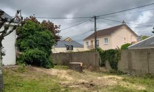 Abattage d'un cèdre à Couëron