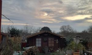 Abattage d'un sapin a couëron