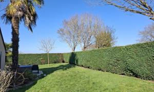 Rabattement d'une haie de sapin à casson 
