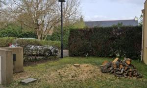 Abattage d'un cerisier à saint herblain