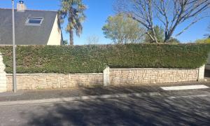 Rabattement d'une haie de sapin à casson 